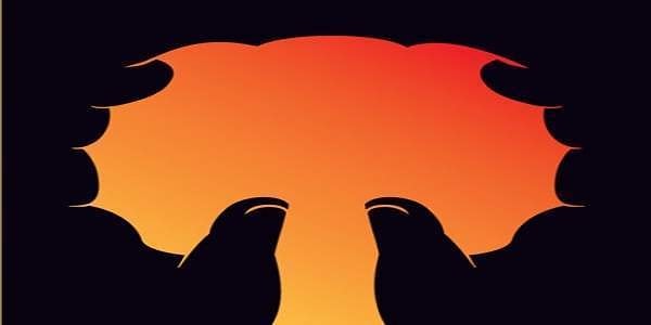 11. Что видите?