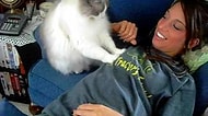 Sadece Kedi Sahiplerinin Maruz Kaldığı 16 Acayip Hareket