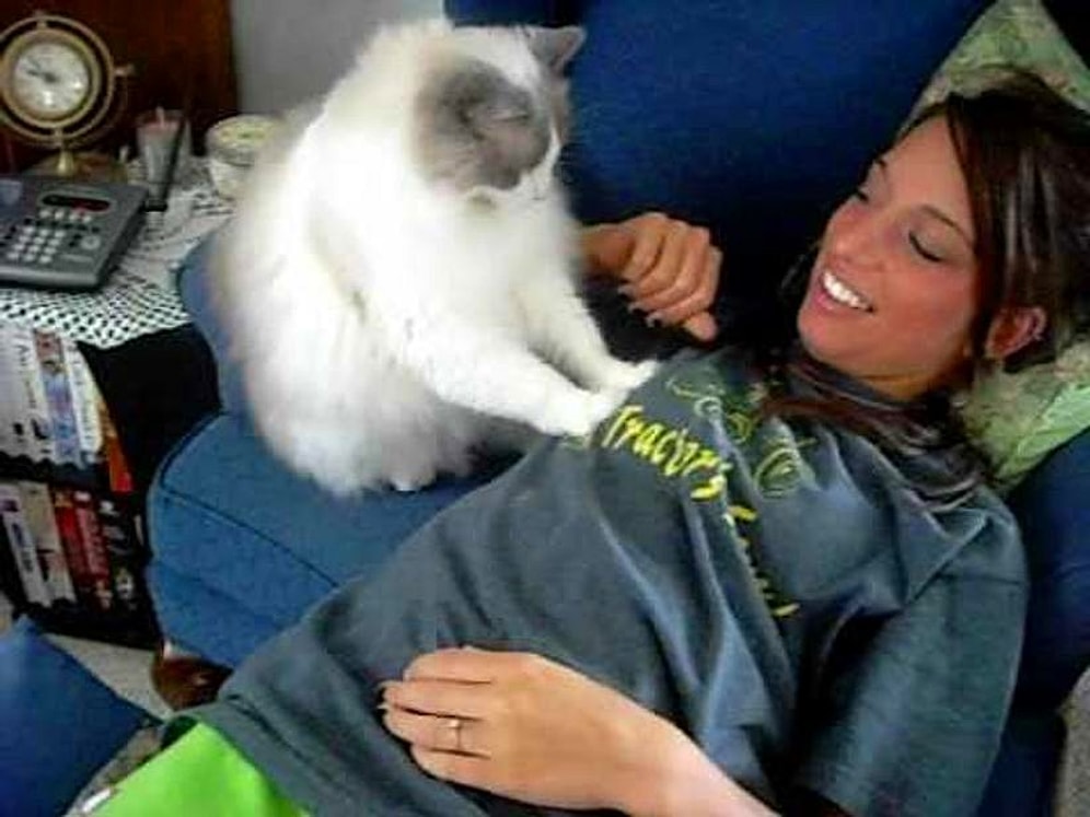 Sadece Kedi Sahiplerinin Maruz Kaldığı 16 Acayip Hareket