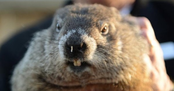 6. Панксатонский Фил