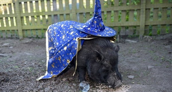 10. Мистик Маркус