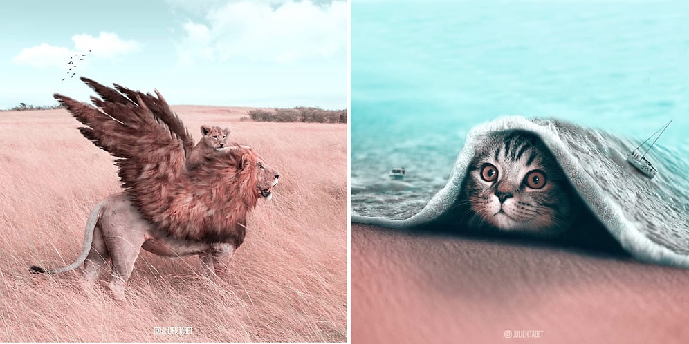 21 Yaşındaki Genç Sanatçının Hayvanlar Alemini Fantastik Bir Dünyaya Taşıdığı Çalışmaları