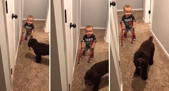 Yürüme Engelli Ufaklıktan Köpek Dostuna: 'Bak Maggie, Yürüyorum Maggie!'