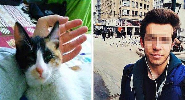 Anadolu Üniversitesi İstatistik Bölümü öğrencisi Abdullah Ç. iddiaya göre bir kediyi zehirleyerek, bir diğer kediyi de çamaşır makinesine atarak öldürmüştü.
