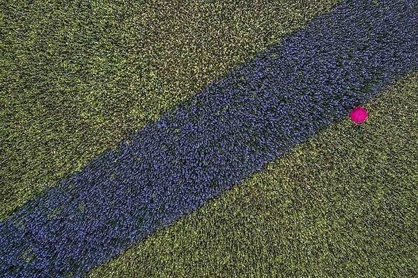 7. Одинокий странник с розовым зонтом, прогуливающийся по полю в погожий денек.