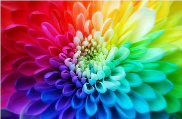 4. А теперь выберите цвет: