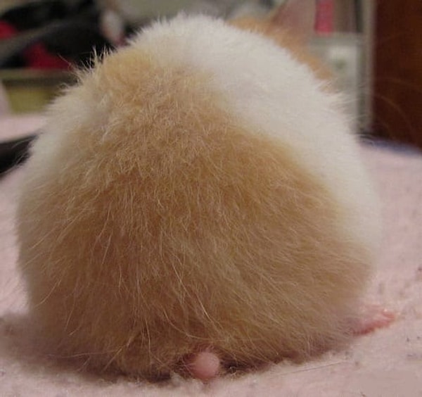 6. Кажется, кто-то притаился)))