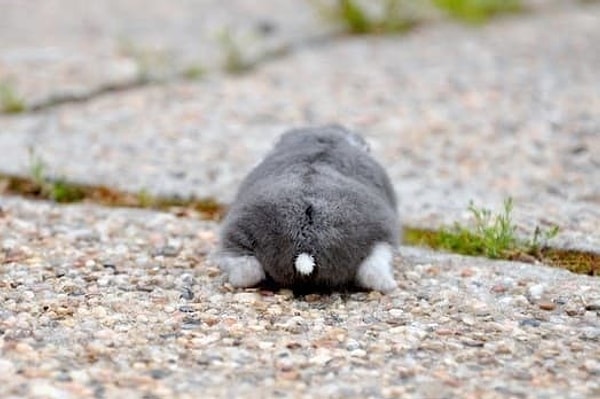 9. Куда же ты помчался???