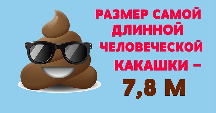 Занимательные факты о том о сем, которые наверняка заставят вас удивиться и слегка понервничать