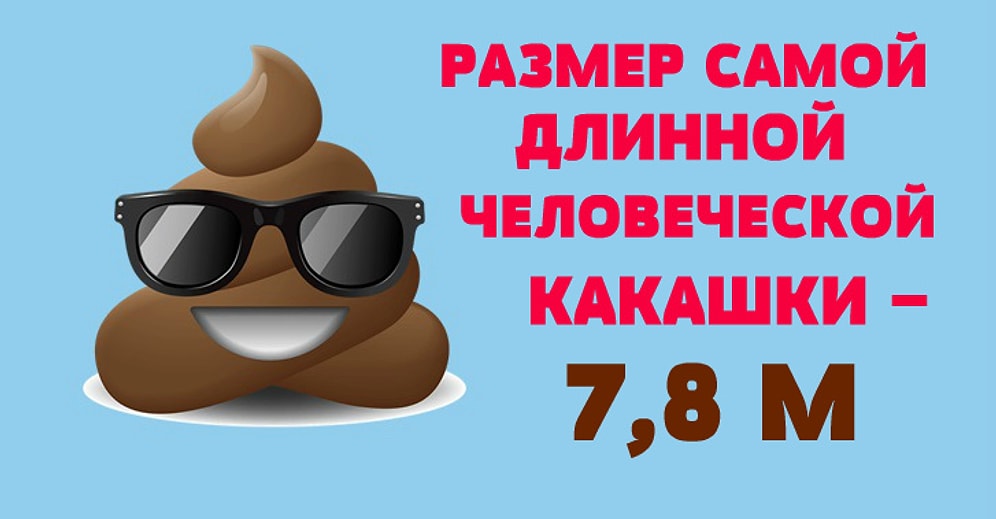 Занимательные факты о том о сем, которые наверняка заставят вас удивиться и слегка понервничать