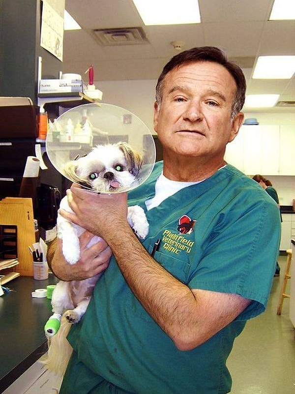 11. Робин Уильямс стал чутким ветеринаром
