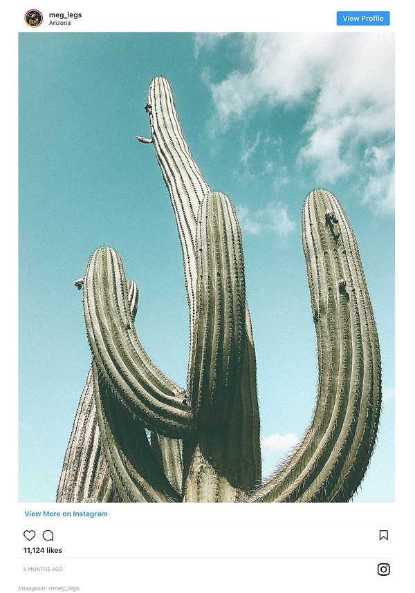 17. Представь себя букашкой и попробуй взглянуть на мир ее глазами.