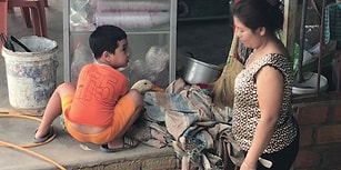 Annesinin Ördeği Kesmesine Müsaade Etmeyen Ufaklık