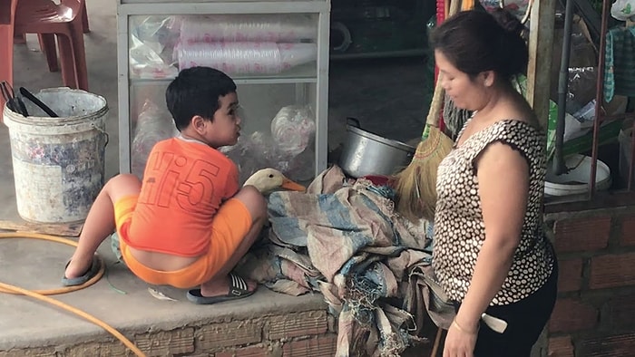 Annesinin Ördeği Kesmesine Müsaade Etmeyen Ufaklık