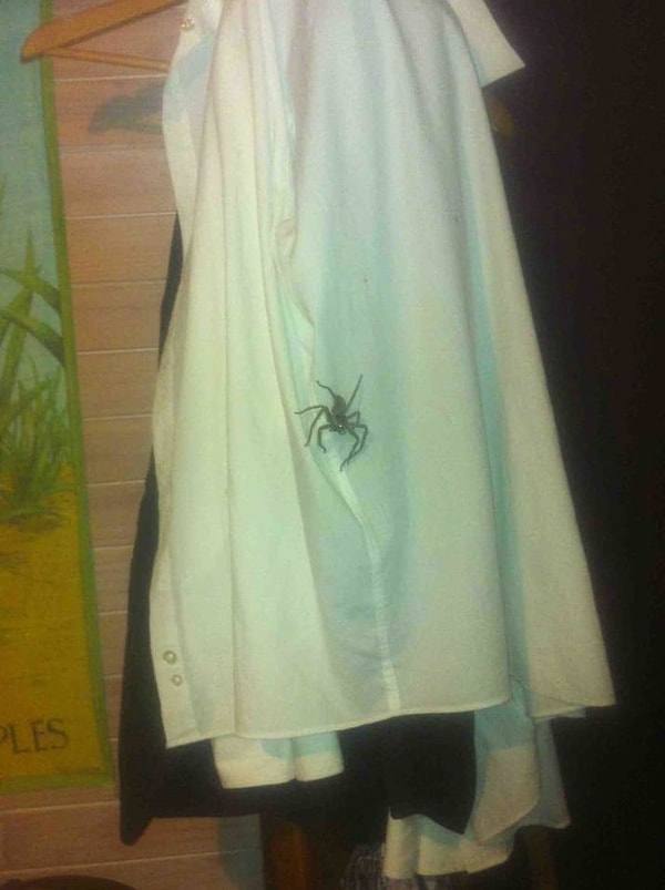 8. Внимательно осматривайте свои вещи...