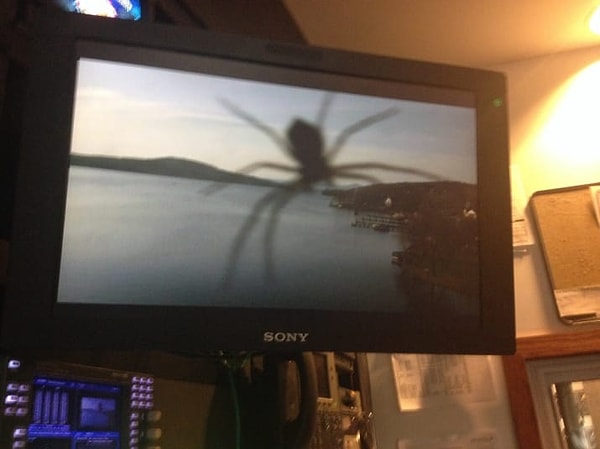 11. А ещё линзы камер