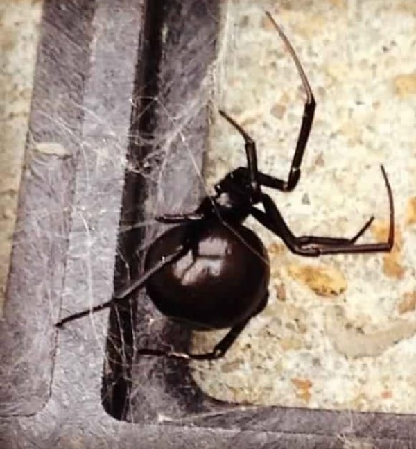 15. Думали, что под столом безопасно?