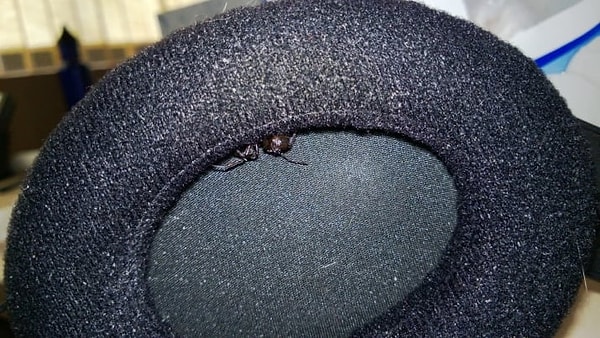 23. Ну всё, это последняя капля!