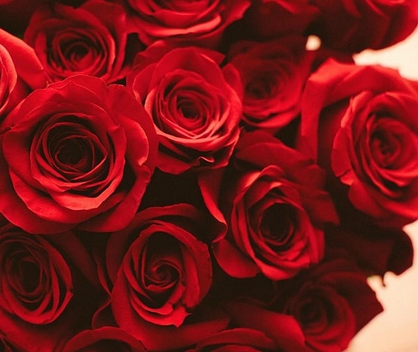 1. Начинаем! Что символизируют красные розы?