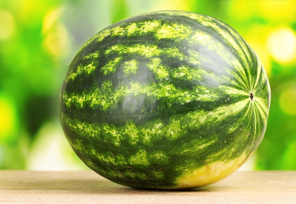 6. Какая должна быть корка спелого арбуза?