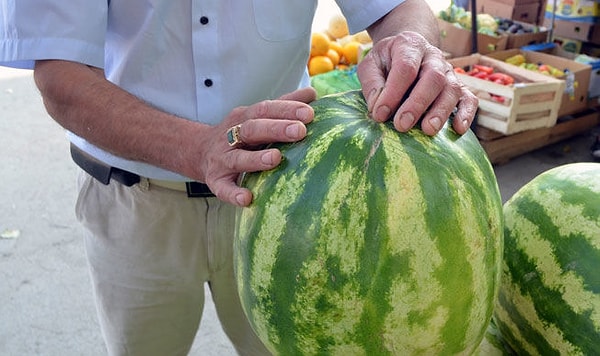 10. Должен ли спелый арбуз вибрировать при ударе ладонью?