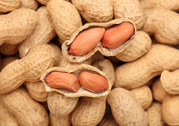 1. Как растёт арахис?