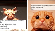İfadeleriyle Bizleri Andıran Minnoş Kedilere Yazılmış Diyaloglarla Hepimizi Eğlendirecek 17 Paylaşım