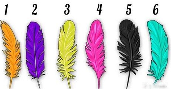 Выберите перышко: