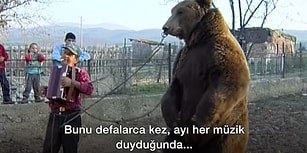 Bulgaristan'ın Oynatılan Ayılarına Özgürlük Veren Adam: Veteriner Amir Khalil