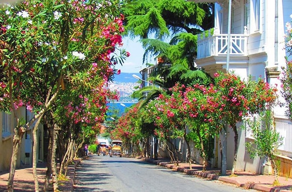 10. Принцевы острова