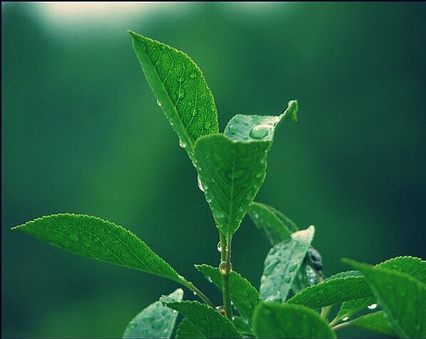 4. Ваши идеи?