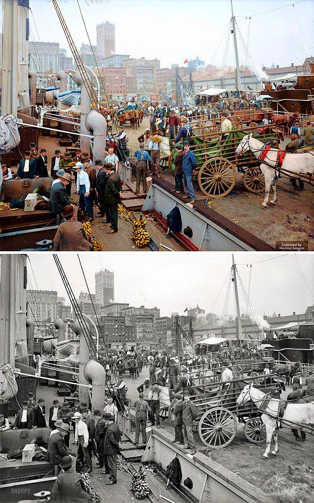 10. Banana Docks, New York, 1890-1910 civarı