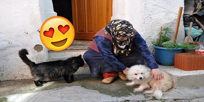 Hayvansever İnsanların Hayatımıza Katacağı Birbirinden Minnoş Güzellikler