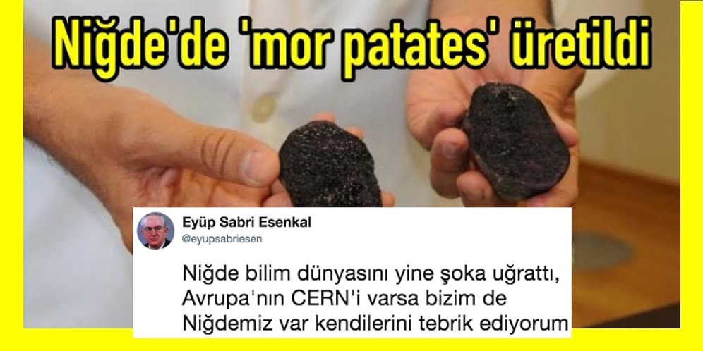 Beyinleri Yakmaya Ant İçmiş Twitter'ın İroni Prensi Eyüp Sabri'den Kahkaha Garantili 15 Paylaşım