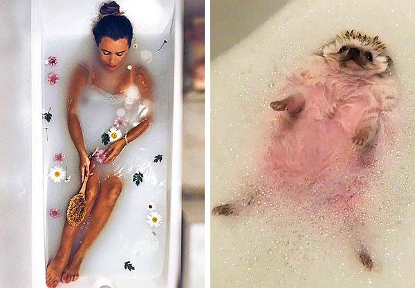 14. "Yorucu bir haftanın ardından, Instagram'daki kızların aldığı duşlar ve benim aldığım duş..."