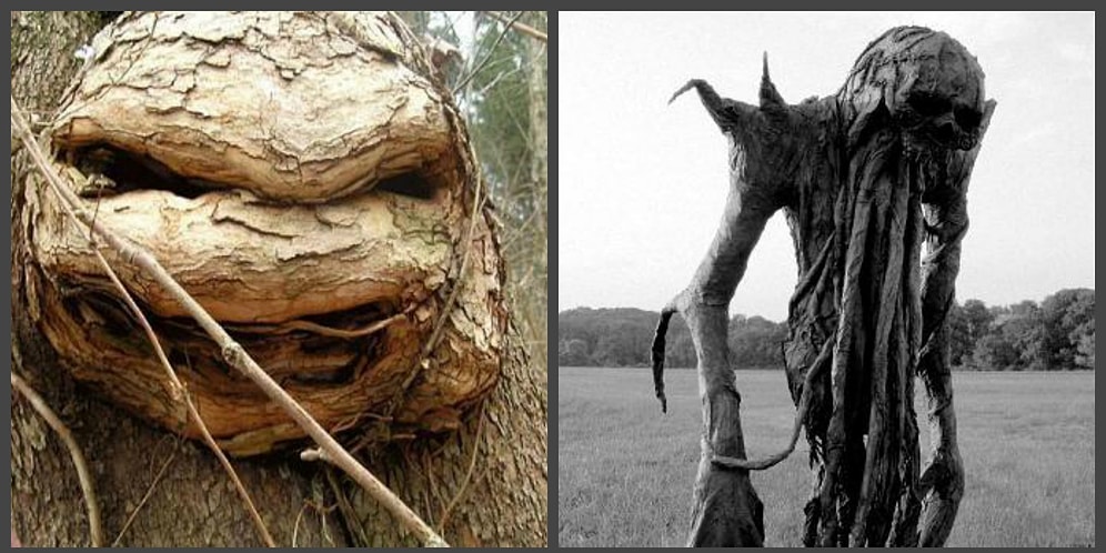 Фантастические фото деревьев, которые напоминают героев сказок