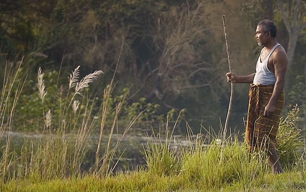 12. Причиной, по которой Маджули становится меньше, как предполагается, являются большие насыпи на реке Брахмапутра.