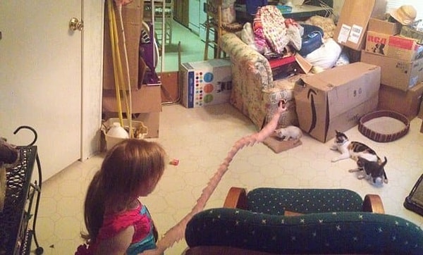 15. Эластика, ты ли это?