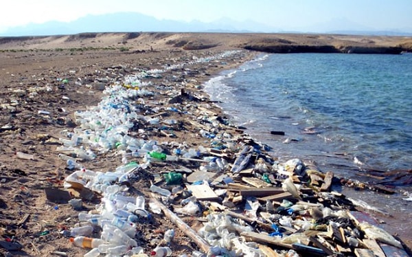 4. К 2050 году в океане будет больше пластика, нежели рыбы.