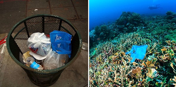 7. По всему миру люди ежедневно используют триллион пластиковых пакетов 😒