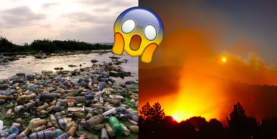 Факты о нашей планете, которые, возможно, заставят вас ненавидеть всё человечество