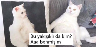 Her Ne Yapıyorsanız Bırakıp Okumanız Gereken Haftanın En Çok Güldüren 21 Tweet'i