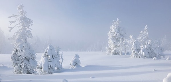 1. Какие эмоции вызывает у вас эта фотография?