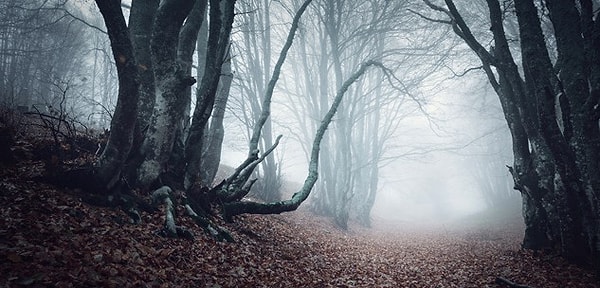 12. Что насчет этой фотографии?