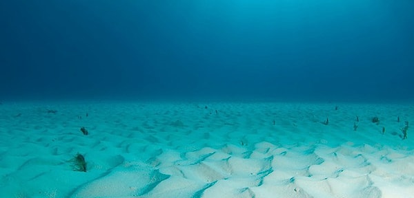 13. Какие эмоции вызывает у вас эта фотография?