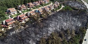 Soruşturma Başlatıldı: Mudanya'daki 'Düzenli Yangının' Fotoğrafı ve Sabotaj İddiaları
