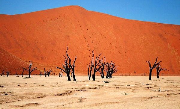 10. Namib Çölü ise dünyanın en eski çölüdür. 55-80 milyon yaşında olduğu tahmin ediliyor.