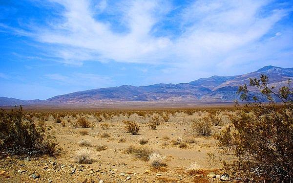 14. Amerika Birleşik Devletleri'nin en kuru bölgesi ise Mojave Çölü'dür. Her yıl 12.70 santimetreden daha az yağış alıyor.