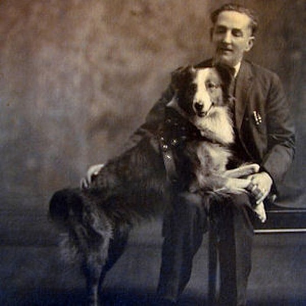 4. Пес Бобби из США