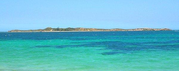 Penguen Adası, Batı Avustralya